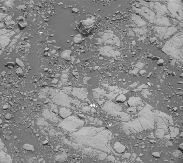 Sol 2005: Mast Camera (Mastcam)