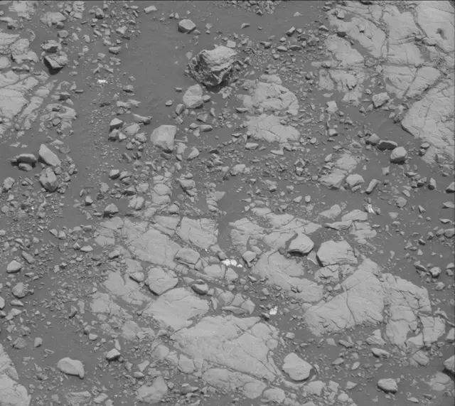Sol 2005: Mast Camera (Mastcam)
