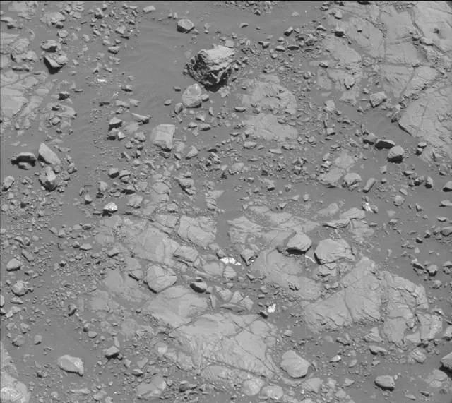 Sol 2005: Mast Camera (Mastcam)