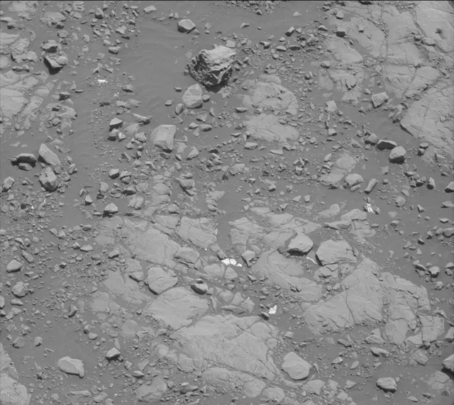 Sol 2005: Mast Camera (Mastcam)