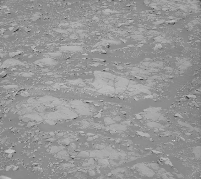 Sol 2005: Mast Camera (Mastcam)