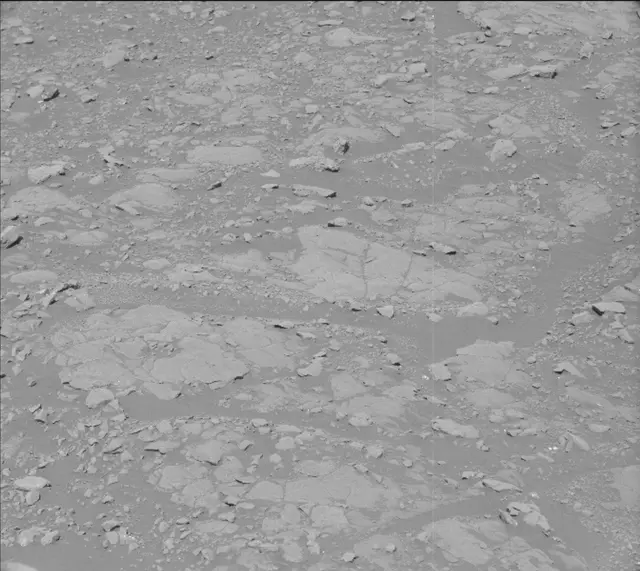 Sol 2005: Mast Camera (Mastcam)