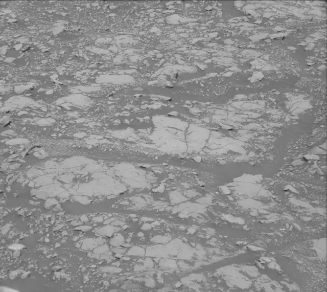 Sol 2005: Mast Camera (Mastcam)