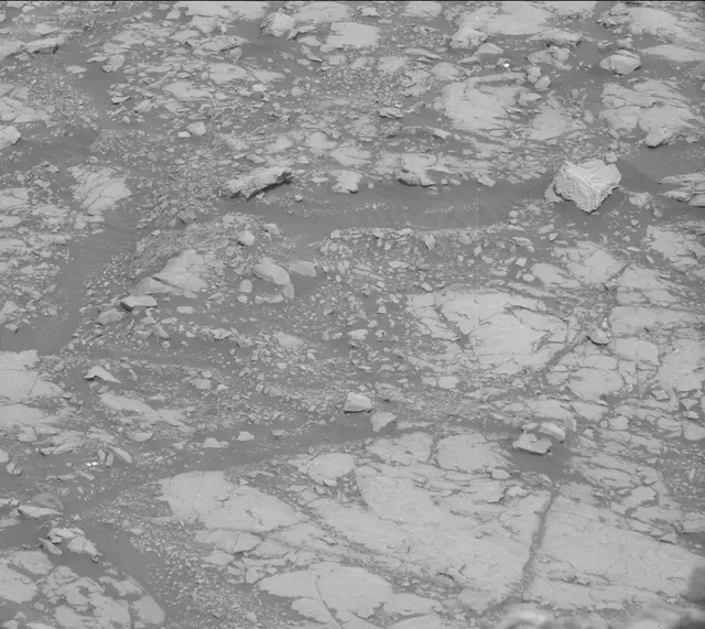 Sol 2005: Mast Camera (Mastcam)