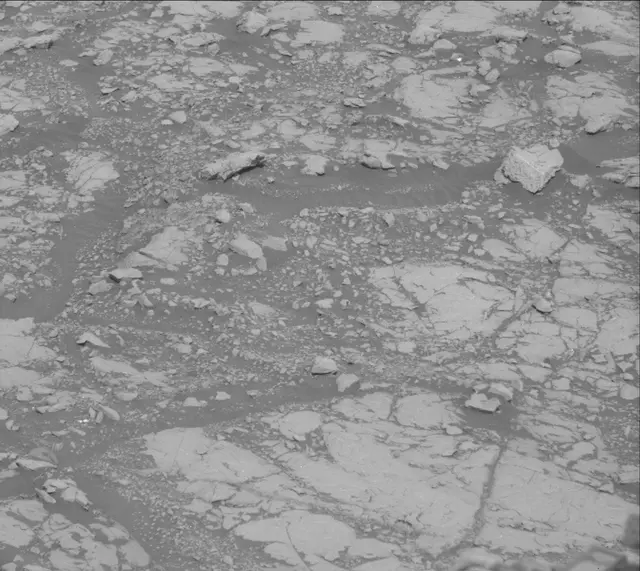 Sol 2005: Mast Camera (Mastcam)