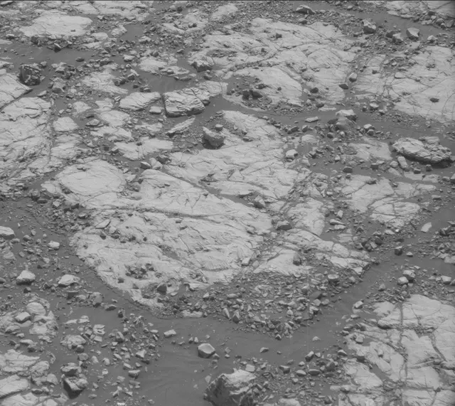 Sol 2005: Mast Camera (Mastcam)