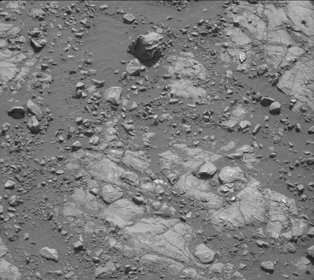 Sol 2005: Mast Camera (Mastcam)
