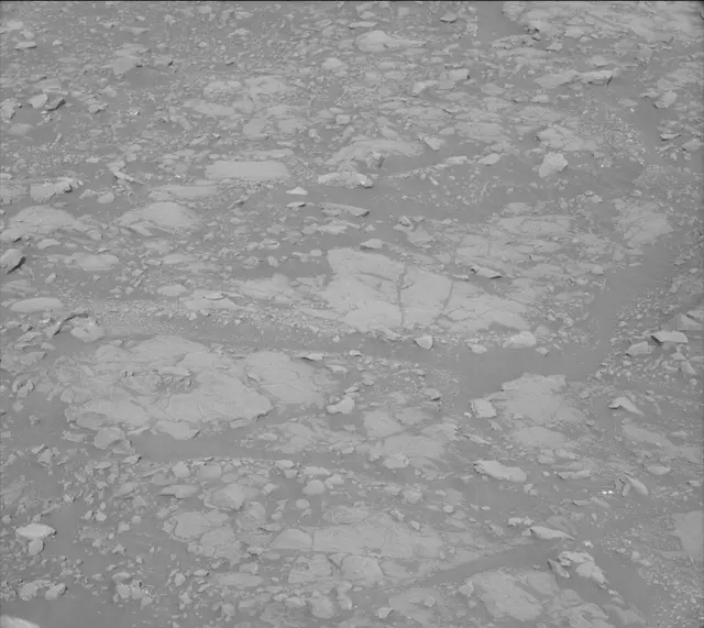 Sol 2005: Mast Camera (Mastcam)