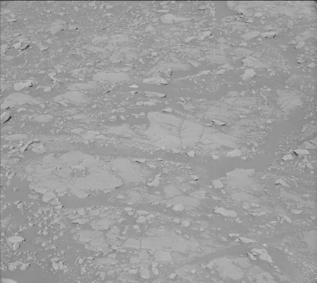 Sol 2005: Mast Camera (Mastcam)