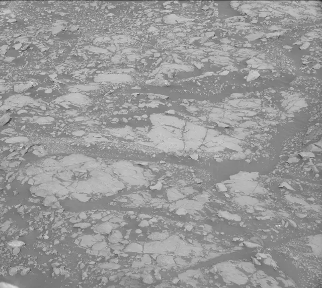 Sol 2005: Mast Camera (Mastcam)