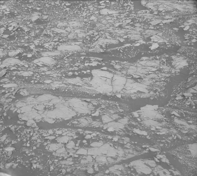 Sol 2005: Mast Camera (Mastcam)