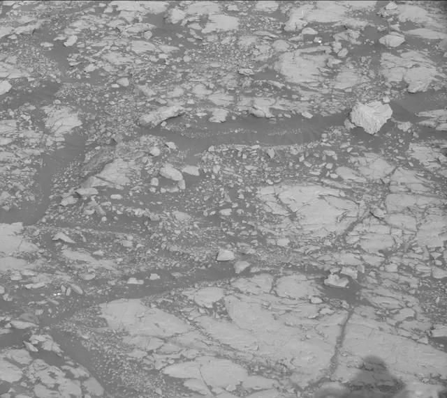 Sol 2005: Mast Camera (Mastcam)