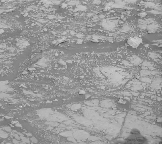 Sol 2005: Mast Camera (Mastcam)