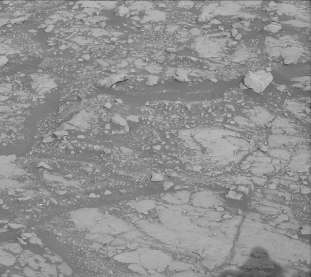 Sol 2005: Mast Camera (Mastcam)