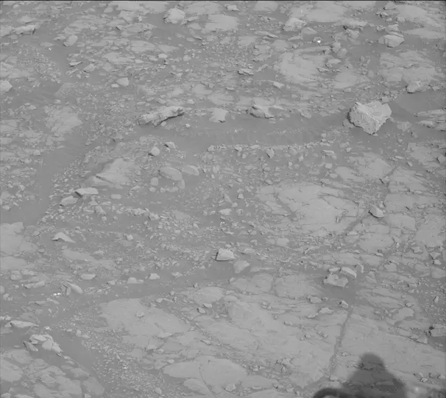 Sol 2005: Mast Camera (Mastcam)