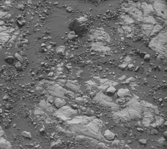Sol 2005: Mast Camera (Mastcam)