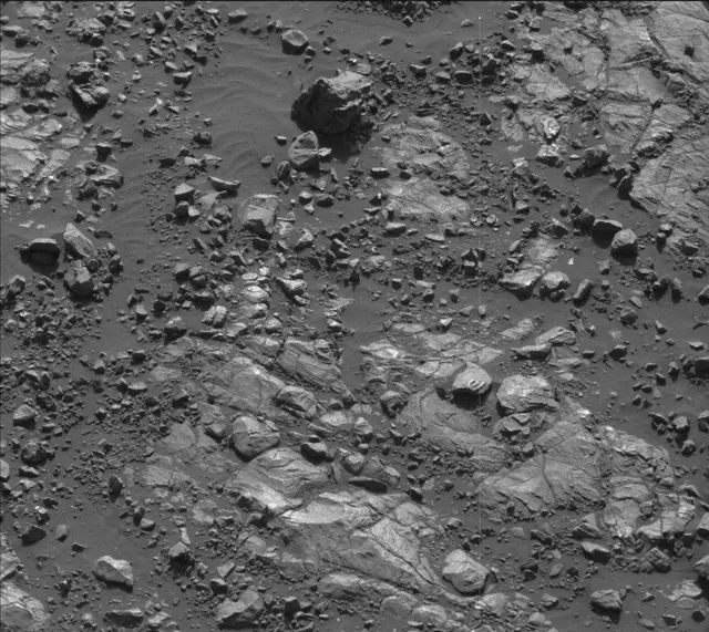 Sol 2005: Mast Camera (Mastcam)