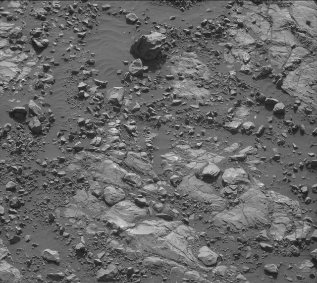 Sol 2005: Mast Camera (Mastcam)