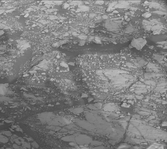 Sol 2005: Mast Camera (Mastcam)