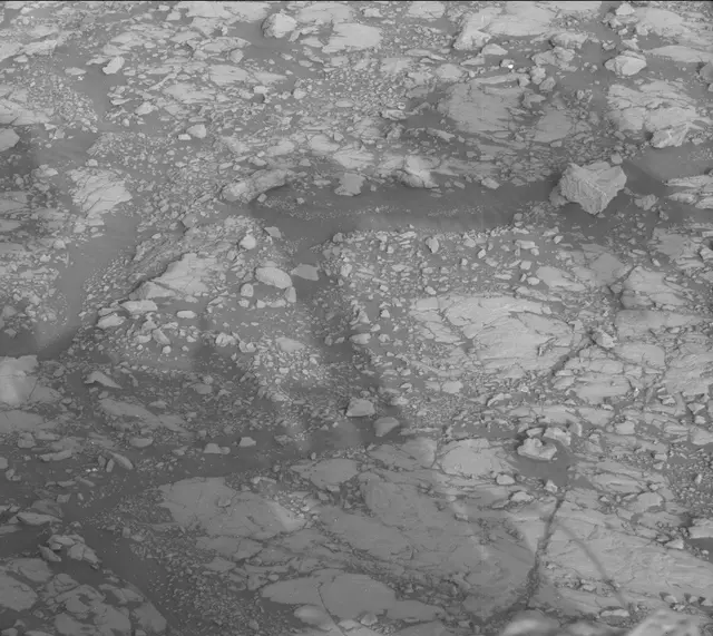 Sol 2005: Mast Camera (Mastcam)