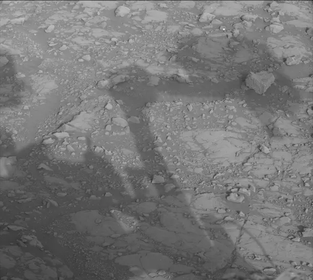 Sol 2005: Mast Camera (Mastcam)