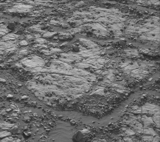 Sol 2005: Mast Camera (Mastcam)