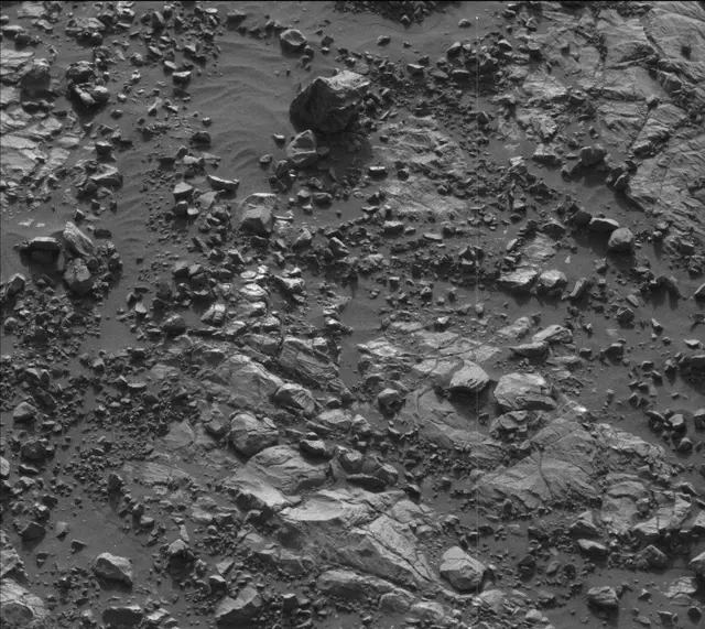 Sol 2005: Mast Camera (Mastcam)