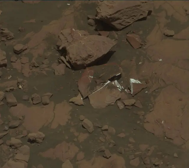Sol 2005: Mast Camera (Mastcam)