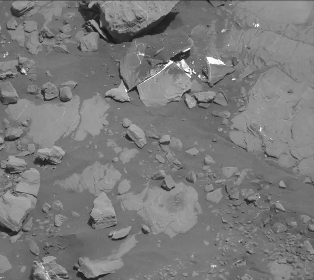 Sol 2005: Mast Camera (Mastcam)