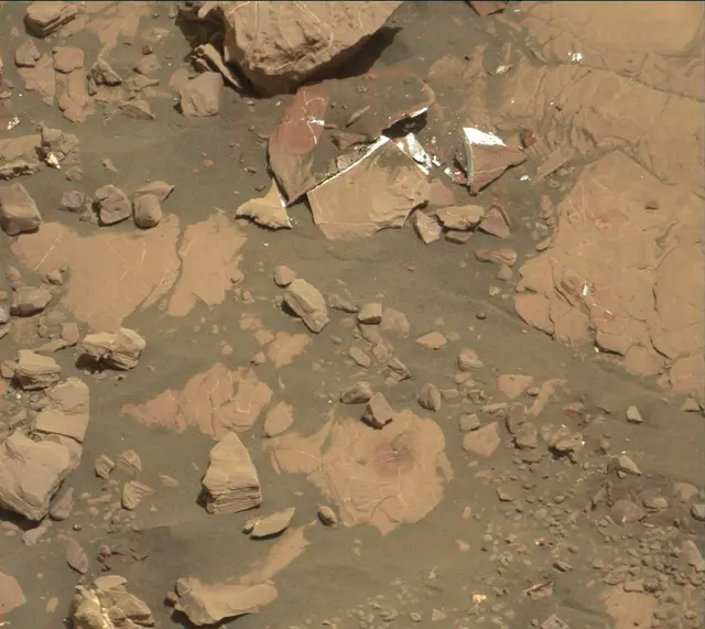 Sol 2005: Mast Camera (Mastcam)