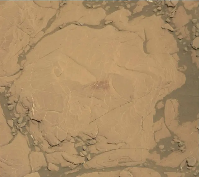 Sol 2005: Mast Camera (Mastcam)