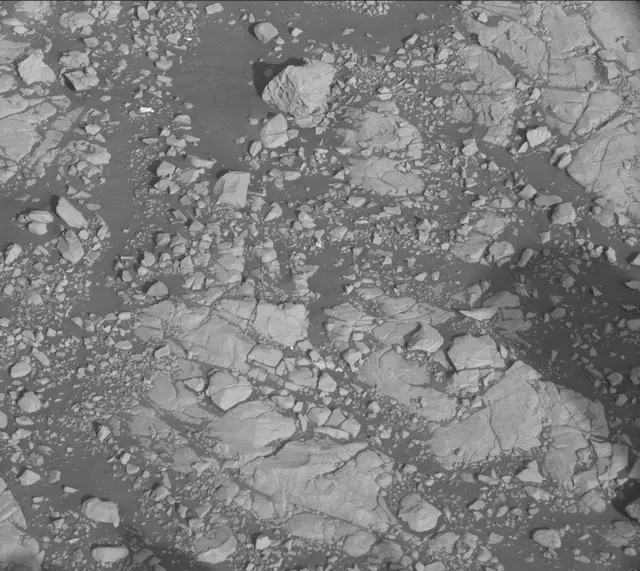 Sol 2006: Mast Camera (Mastcam)