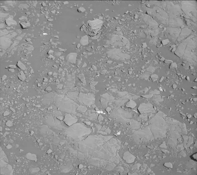 Sol 2006: Mast Camera (Mastcam)