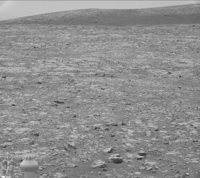 Sol 2006: Mast Camera (Mastcam)