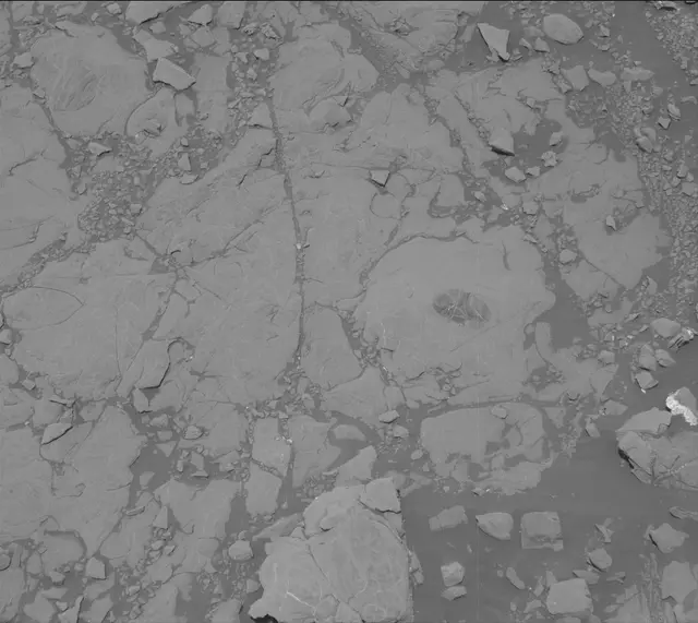 Sol 2007: Mast Camera (Mastcam)