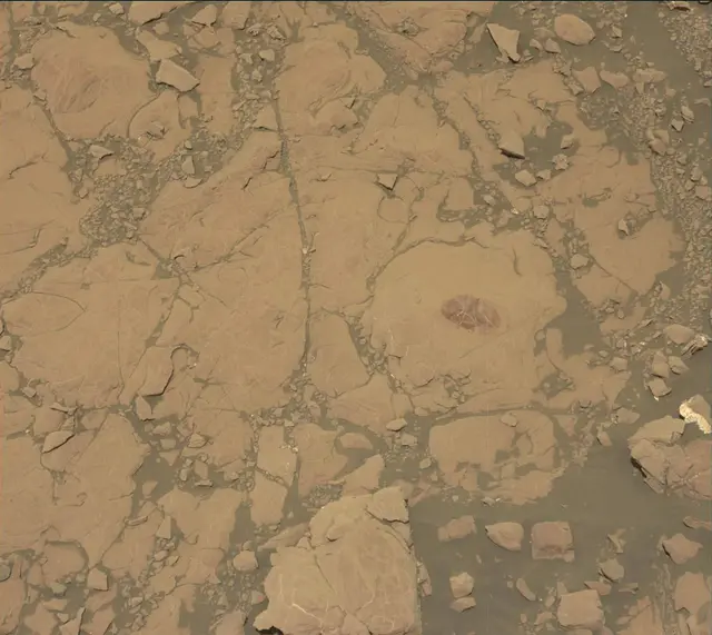 Sol 2007: Mast Camera (Mastcam)