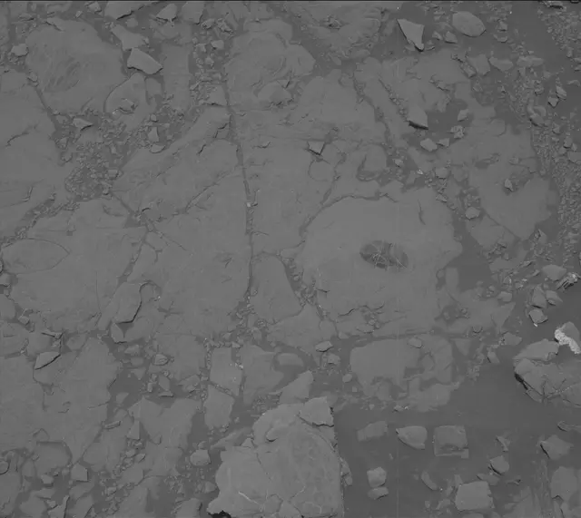 Sol 2007: Mast Camera (Mastcam)