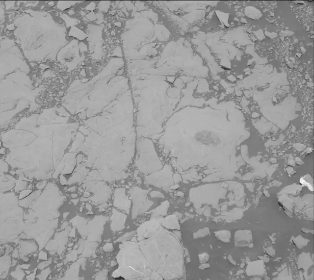 Sol 2007: Mast Camera (Mastcam)
