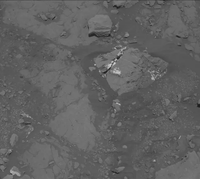 Sol 2007: Mast Camera (Mastcam)