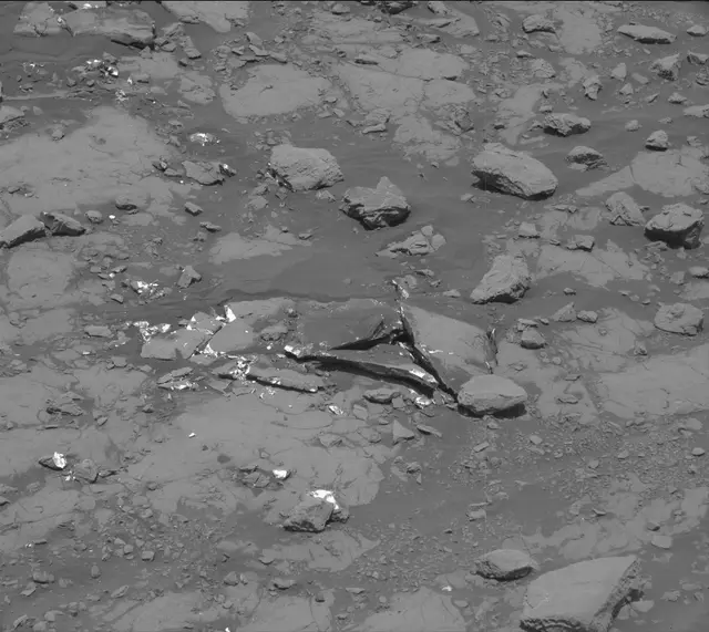 Sol 2007: Mast Camera (Mastcam)