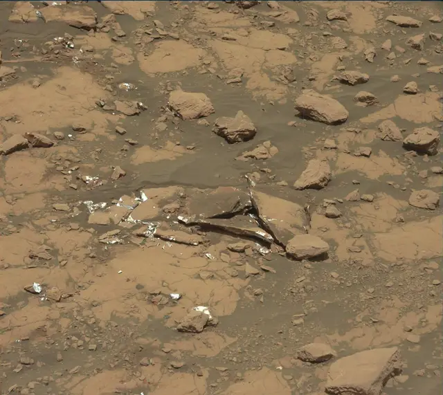 Sol 2007: Mast Camera (Mastcam)