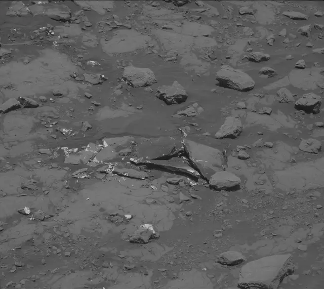 Sol 2007: Mast Camera (Mastcam)