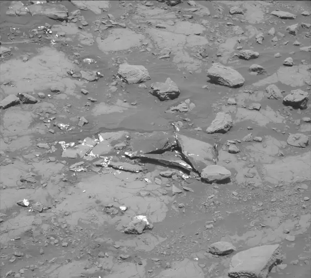 Sol 2007: Mast Camera (Mastcam)