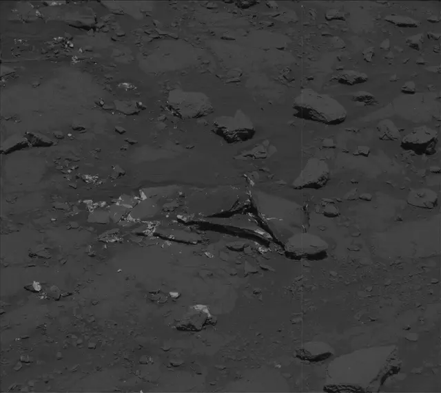 Sol 2007: Mast Camera (Mastcam)