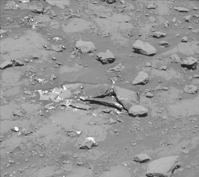 Sol 2007: Mast Camera (Mastcam)
