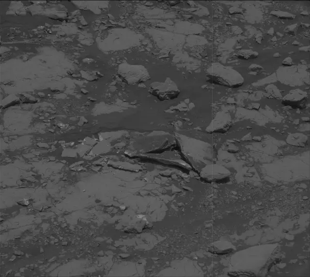 Sol 2007: Mast Camera (Mastcam)