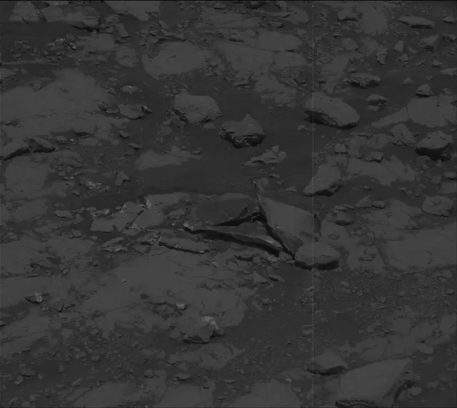 Sol 2007: Mast Camera (Mastcam)