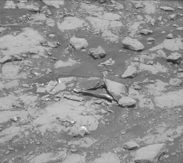 Sol 2007: Mast Camera (Mastcam)