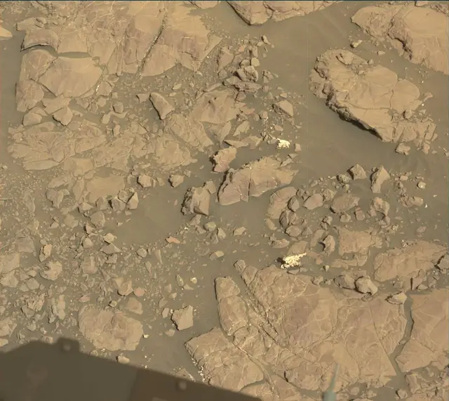 Sol 2007: Mast Camera (Mastcam)