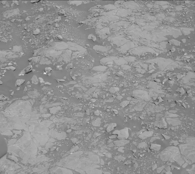 Sol 2007: Mast Camera (Mastcam)